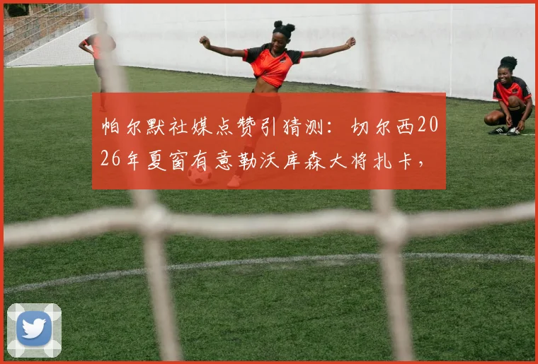 帕尔默社媒点赞引猜测：切尔西2026年夏窗有意勒沃库森大将扎卡，转会分析及球员特点解读