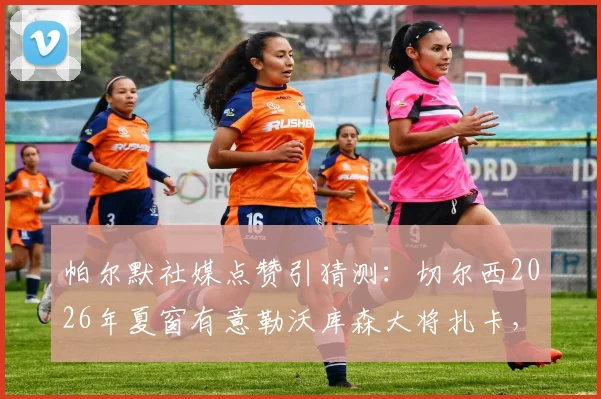 帕尔默社媒点赞引猜测：切尔西2026年夏窗有意勒沃库森大将扎卡，转会分析及球员特点解读